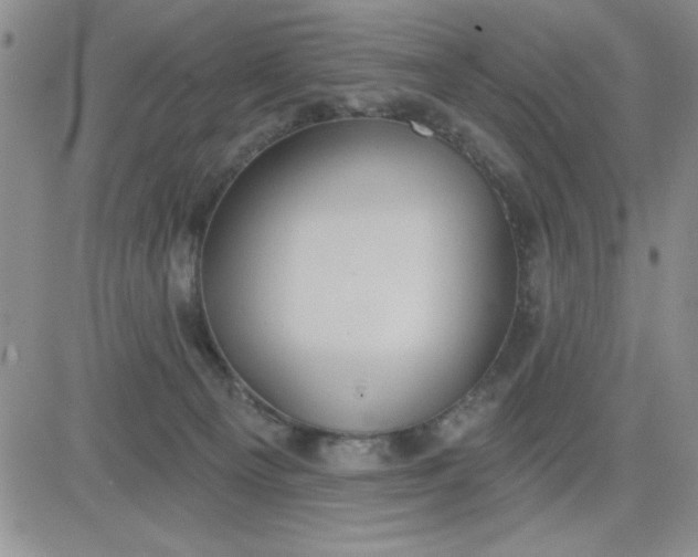 X0000081300129200701251727