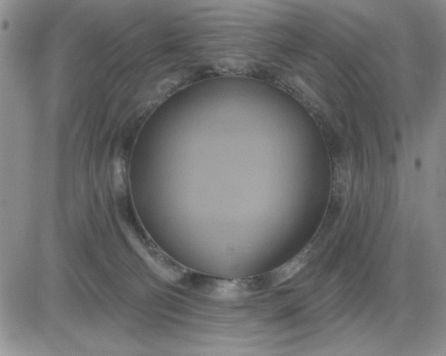 X0000081300130200701251727