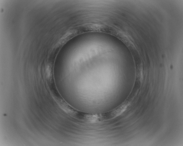 X0000081300131200701251727