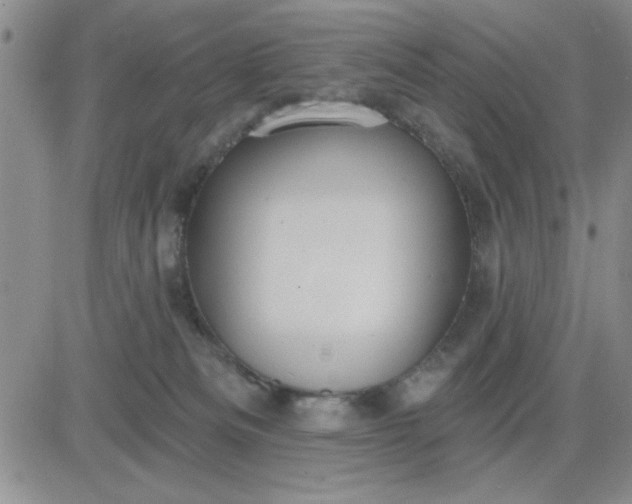 X0000081300133200701251727