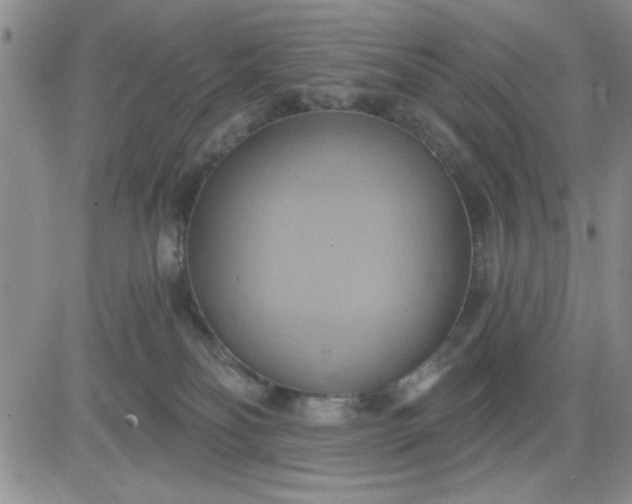 X0000081300134200701251727