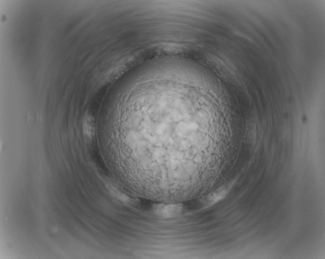 X0000081300135200701251727