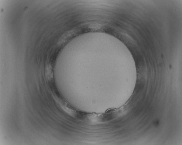 X0000081300136200701251727