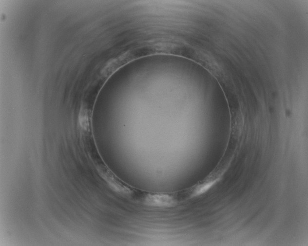 X0000081300137200701251727