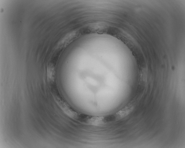 X0000081300138200701251727