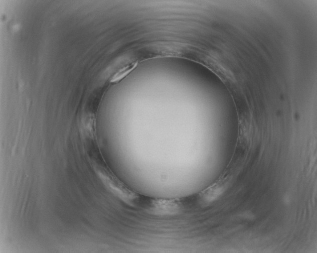 X0000081300141200701251727