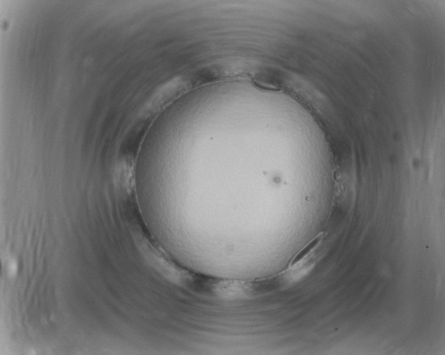 X0000081300142200701251727