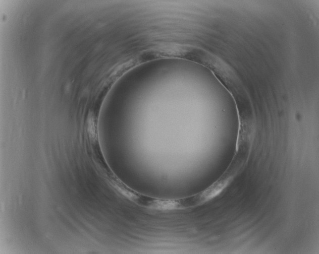 X0000081300143200701251727