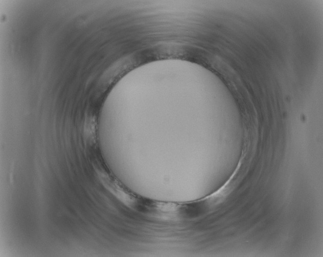 X0000081300144200701251727