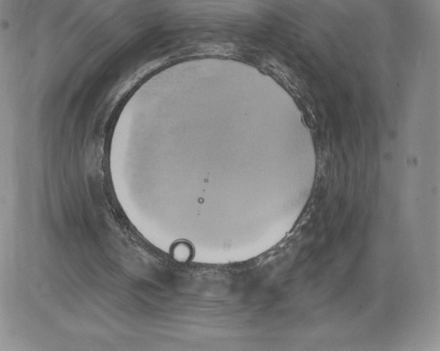 X0000081300146200701251726