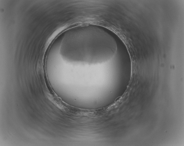 X0000081300147200701251726