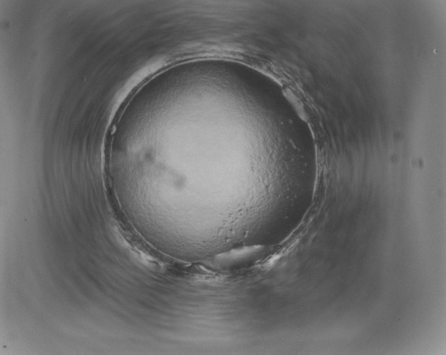 X0000081300148200701251726