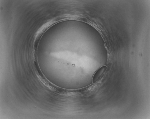 X0000081300149200701251726