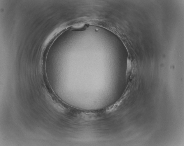 X0000081300150200701251726