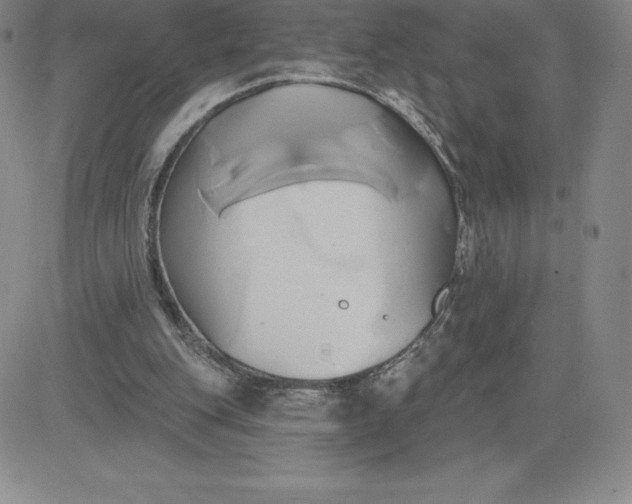 X0000081300151200701251726