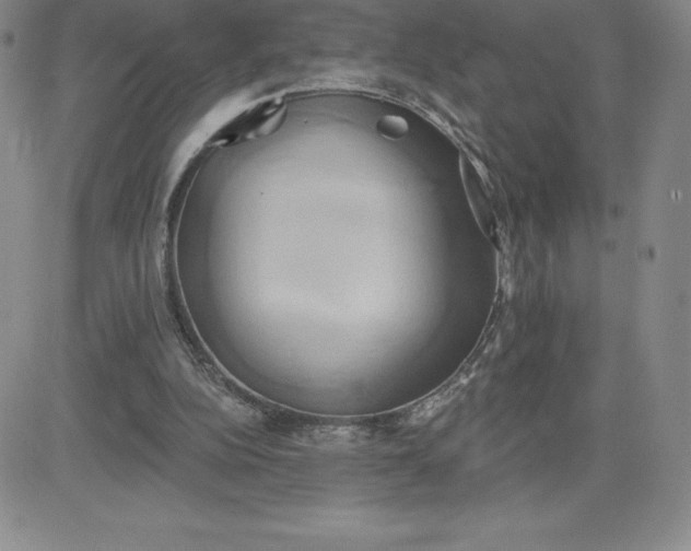 X0000081300152200701251726