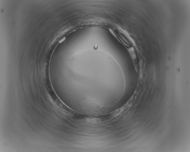 X0000081300154200701251727