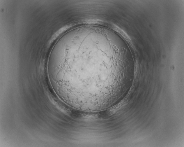 X0000081300155200701251727