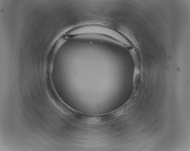 X0000081300156200701251727