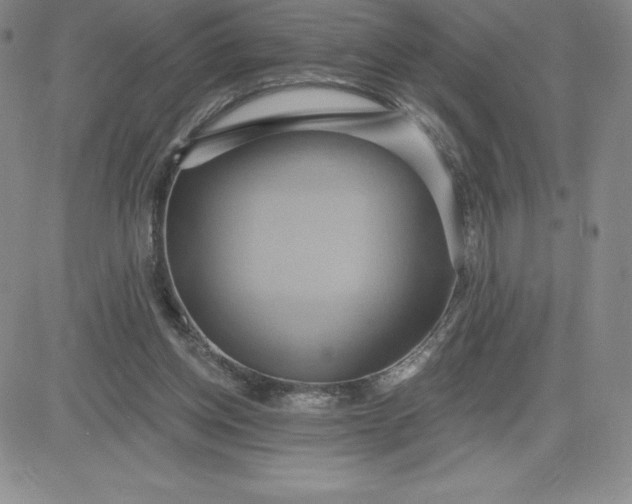 X0000081300158200701251727