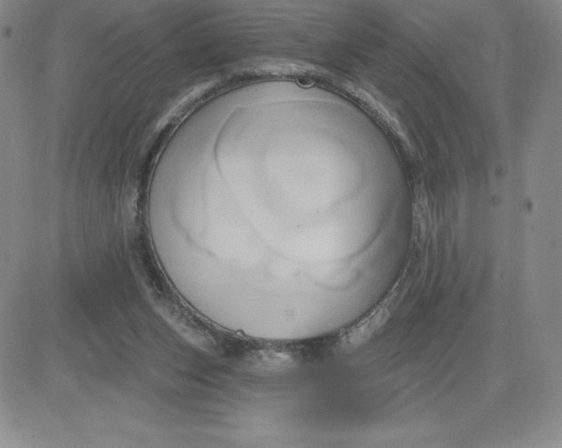 X0000081300159200701251727