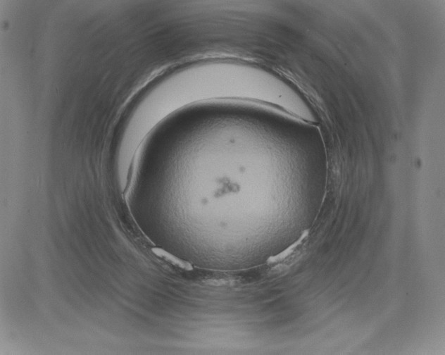 X0000081300160200701251727