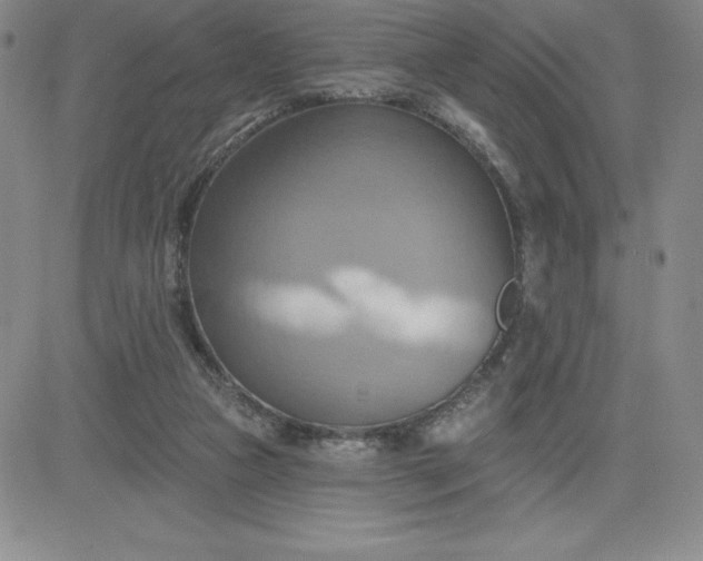 X0000081300161200701251727