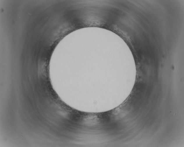 X0000081300162200701251727