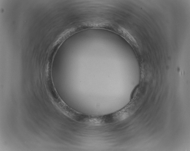 X0000081300163200701251727