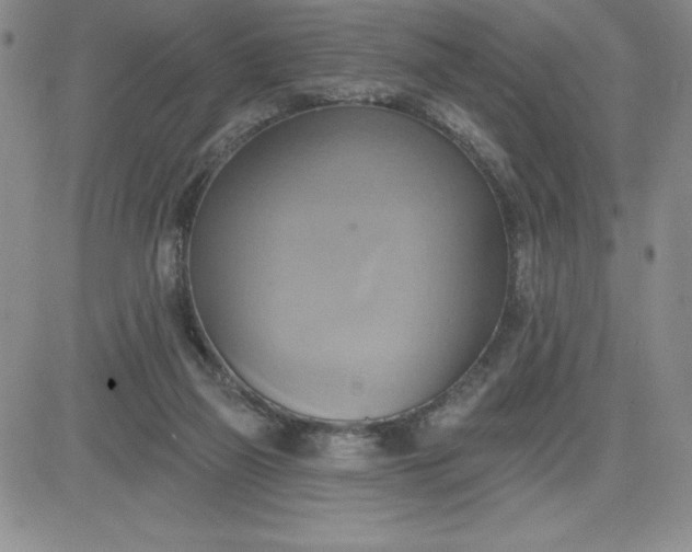 X0000081300165200701251727