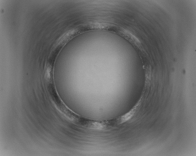 X0000081300166200701251727