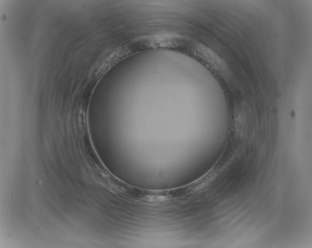 X0000081300169200701251727