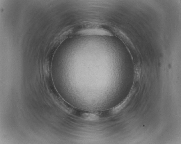 X0000081300170200701251727