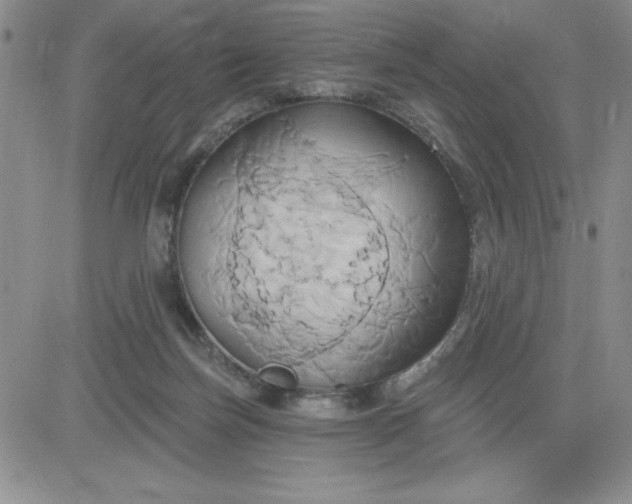 X0000081300171200701251727