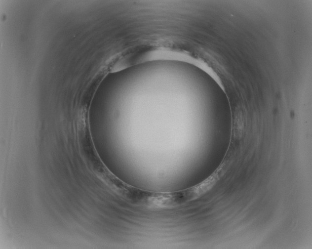 X0000081300172200701251727