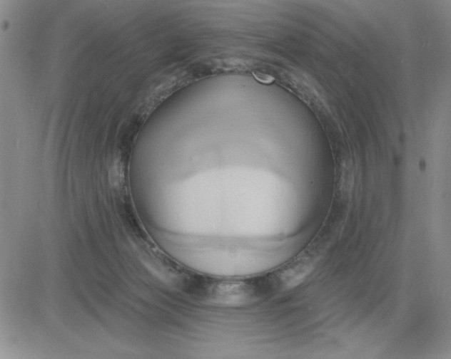 X0000081300173200701251727