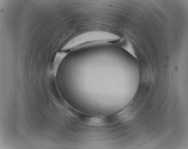 X0000081300176200701251727