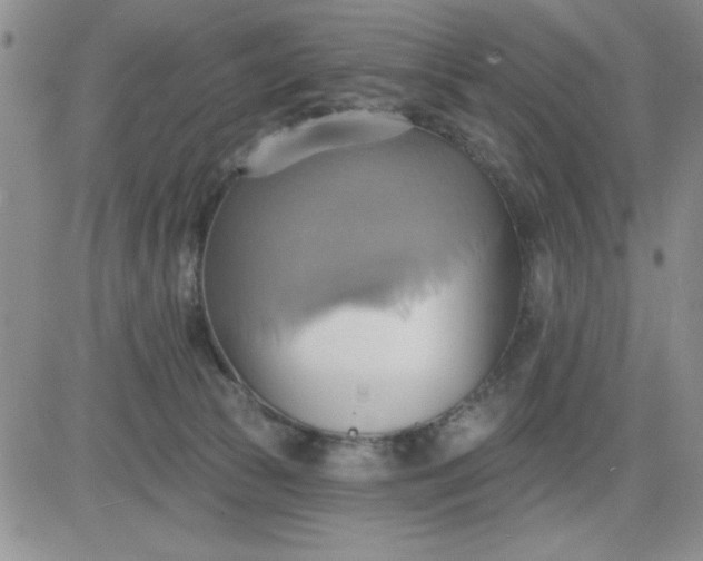 X0000081300177200701251727