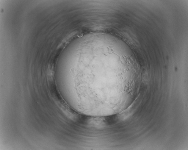 X0000081300179200701251727