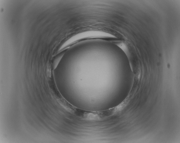 X0000081300180200701251727