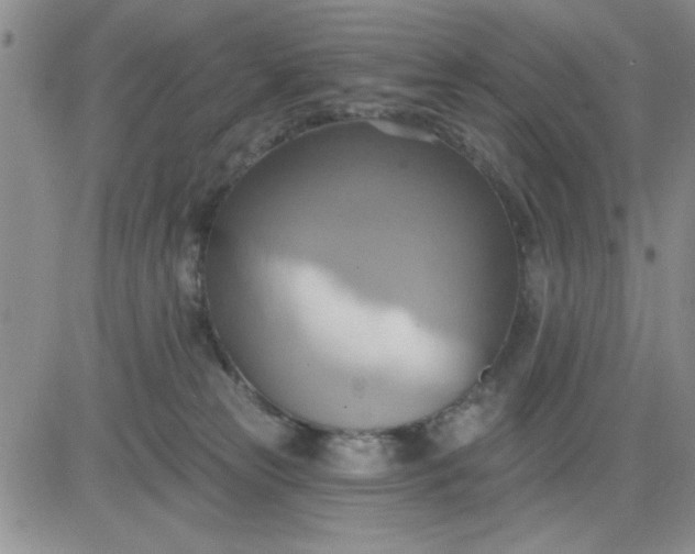 X0000081300181200701251727