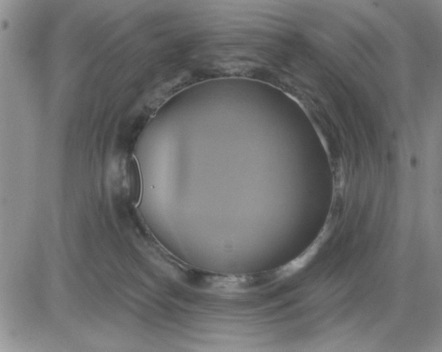 X0000081300182200701251727