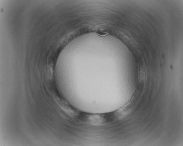 X0000081300183200701251727