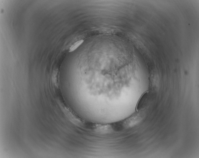 X0000081300185200701251727