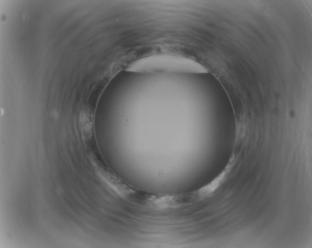 X0000081300186200701251727