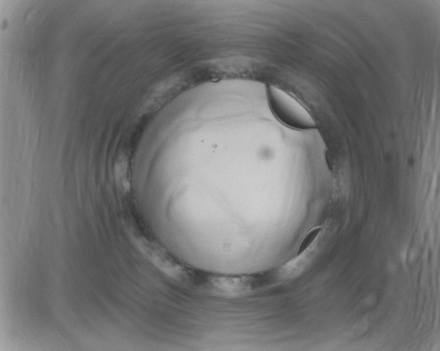 X0000081300187200701251727