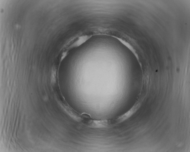 X0000081300188200701251727