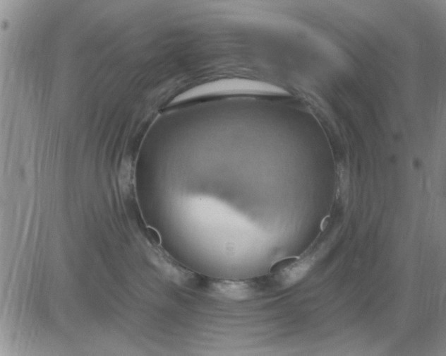 X0000081300189200701251727