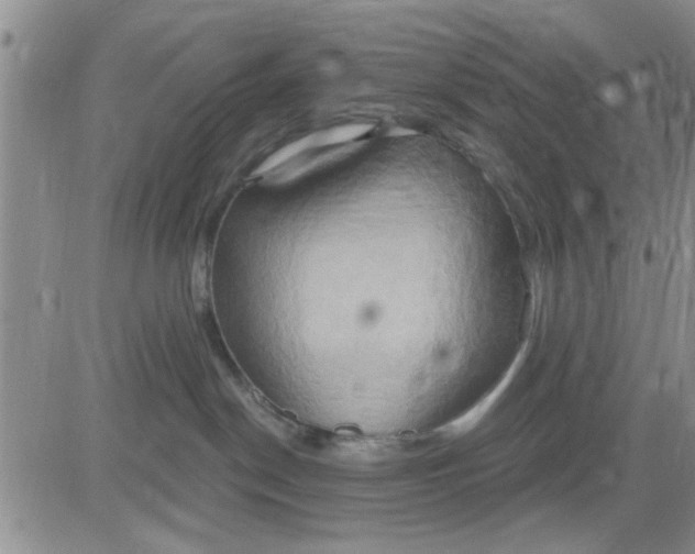 X0000081300190200701251727