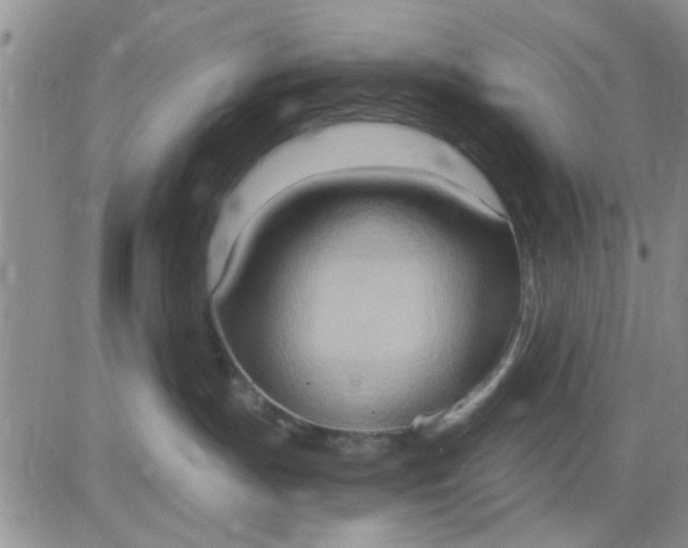 X0000081300191200701251727